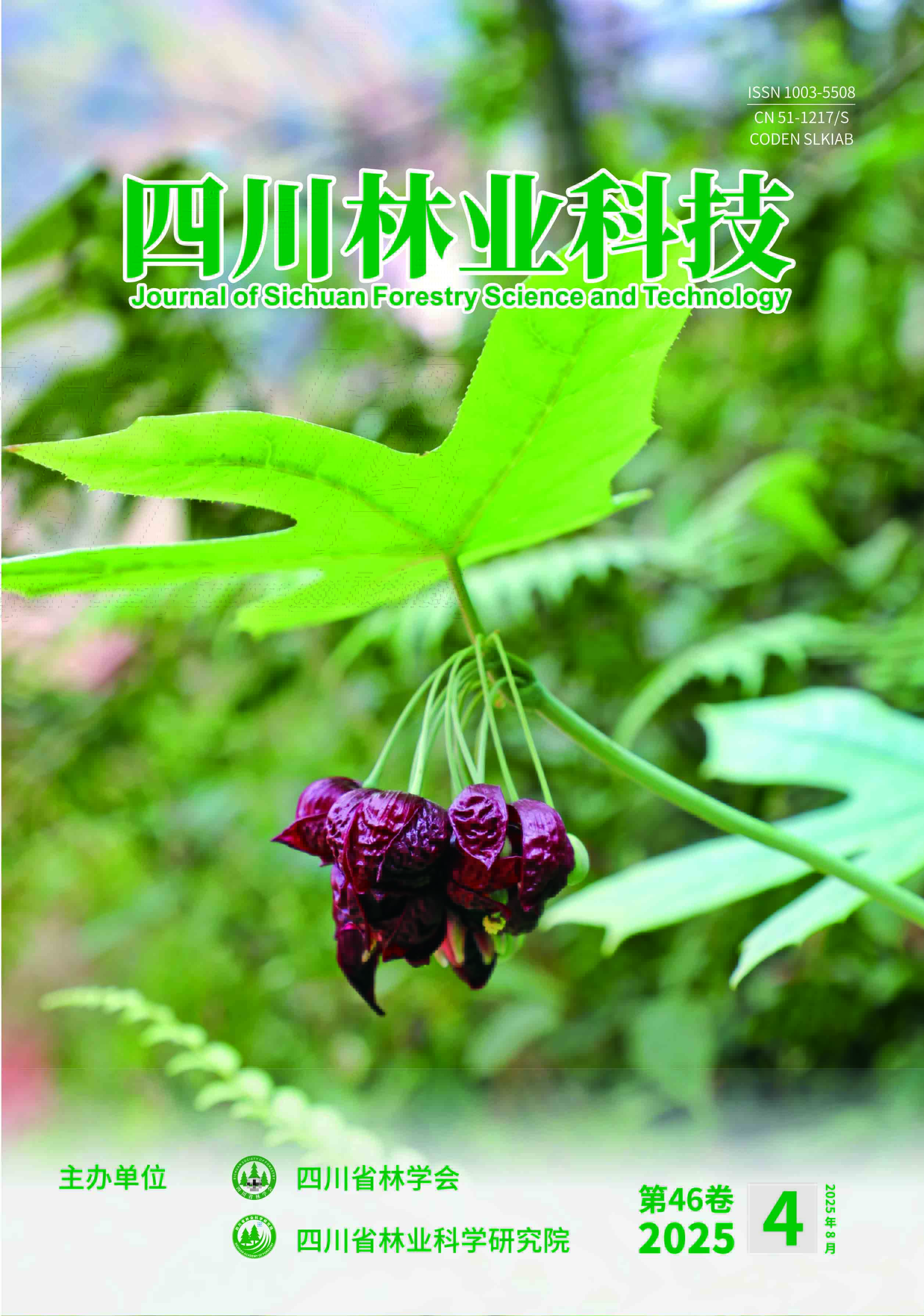 2025年第4期